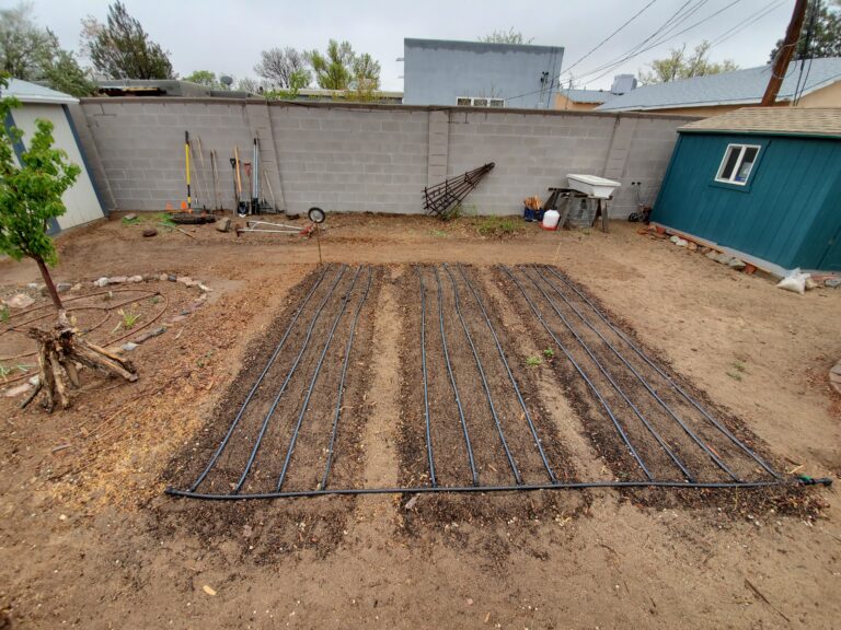 Drip irrigation on wide beds
